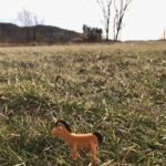 Mary Mott's Podcasts