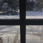 window | Mary Mott Writes