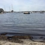 Mary Mott's Podcasts