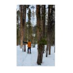 Mary Mott's Podcasts